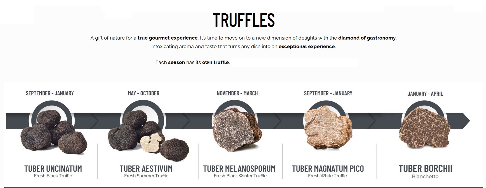 Truffles Black&White SOON