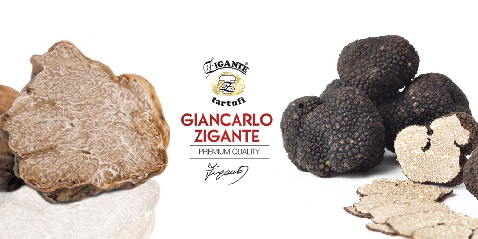 Truffle Zigante