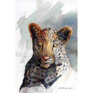 Card CAPE LEOPARD  A6 SkillyArt