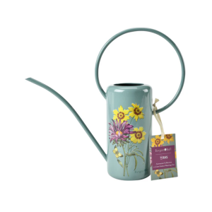 BurgonBall ASTER Indoor Watering Can RHS