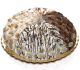 QRTA Nougat Cake Choc Cream Assort 110g Wrap Made in Italy