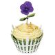 Meri Meri Pretty Pansies Cupcake Kit 